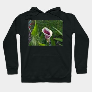 Calla Lilly and Leaves Hoodie